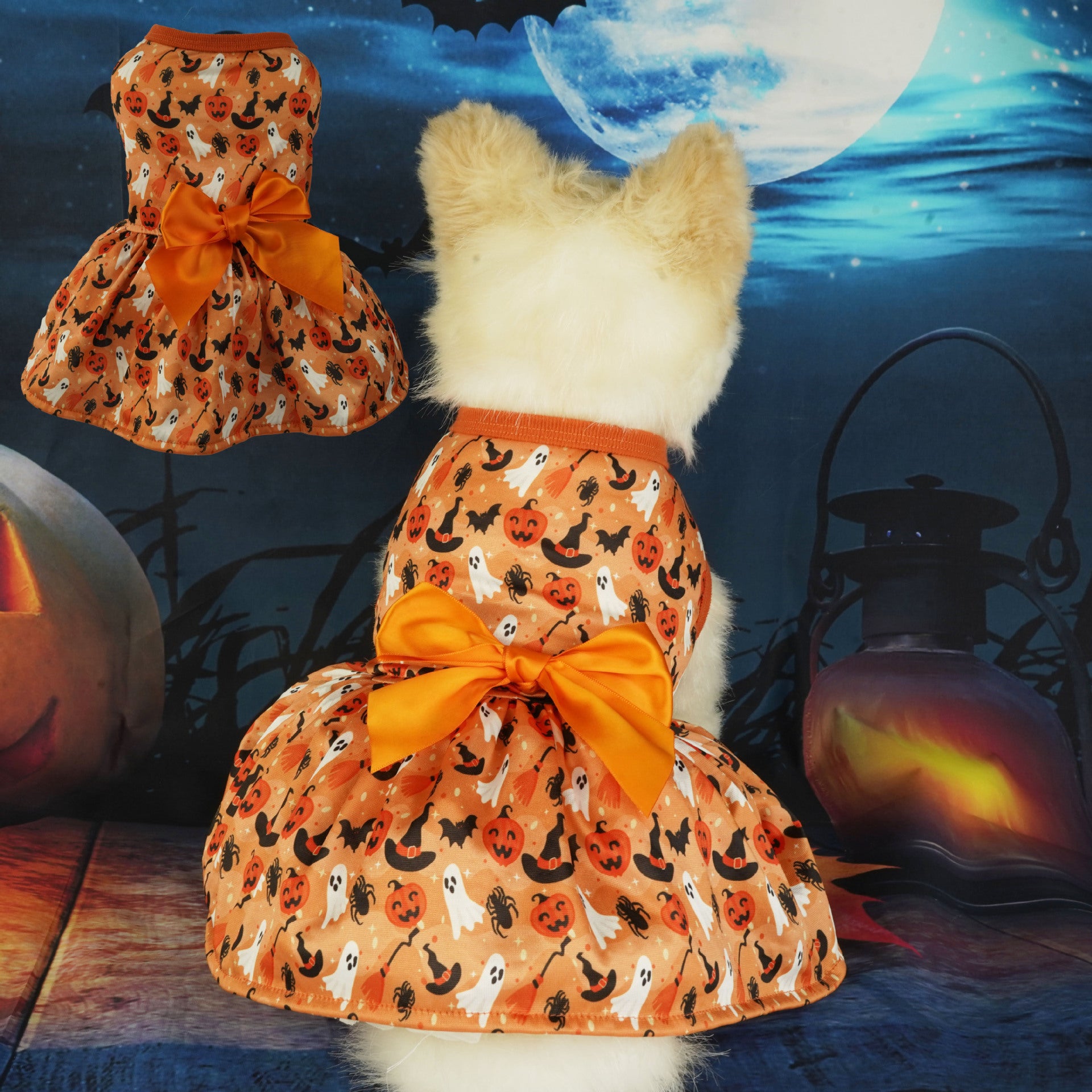 Halloween Pet Party Dress