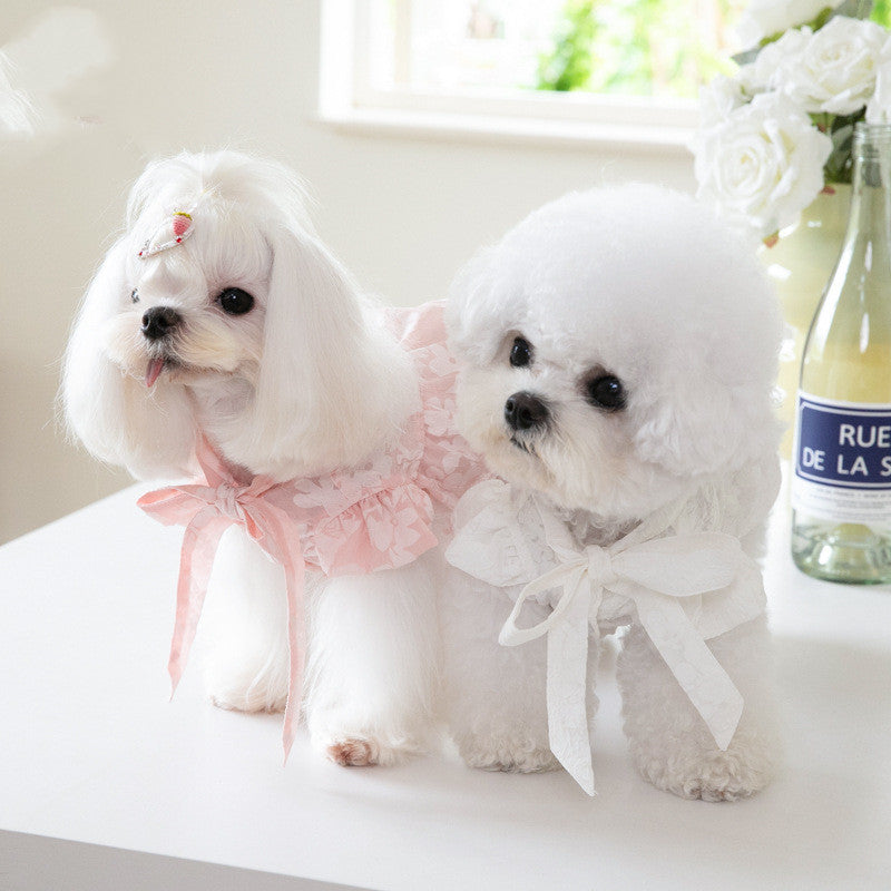 Tie Bow Collar Dress for Pets