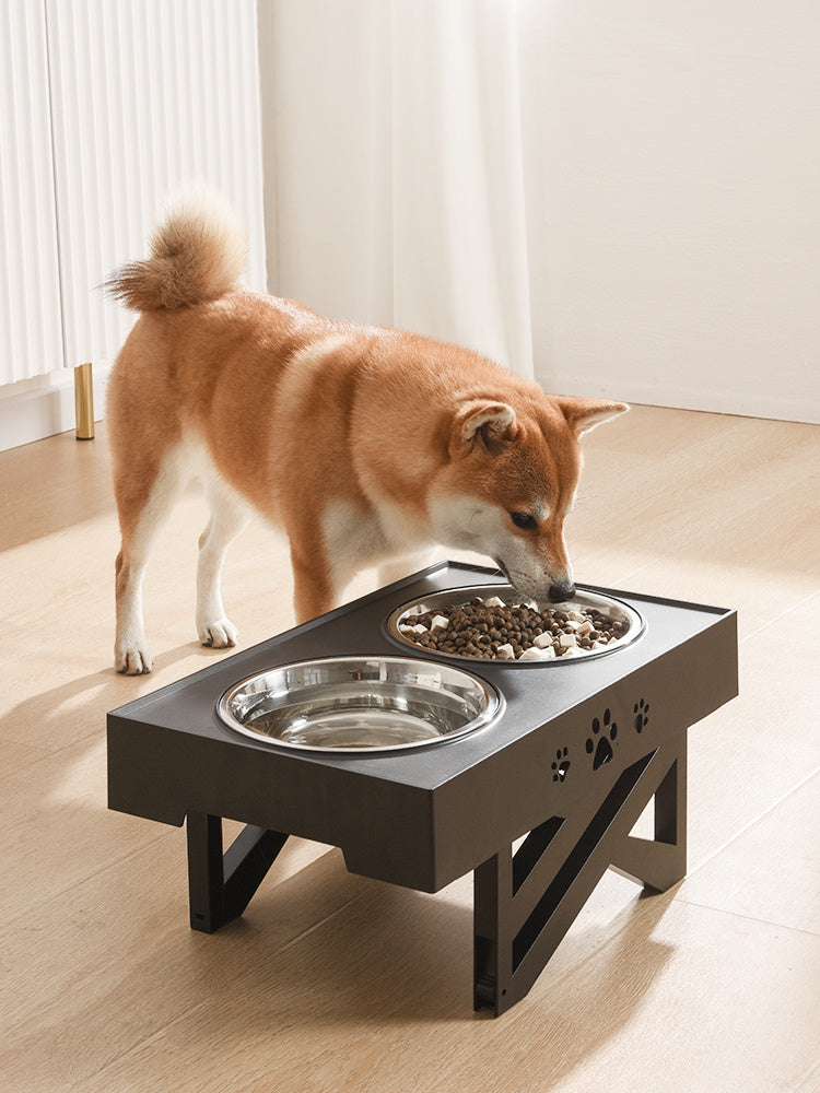 Folding Stainless Steel Pet Bowl