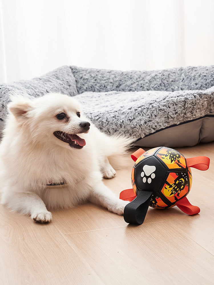 Interactive Dog Soccer Ball Toy