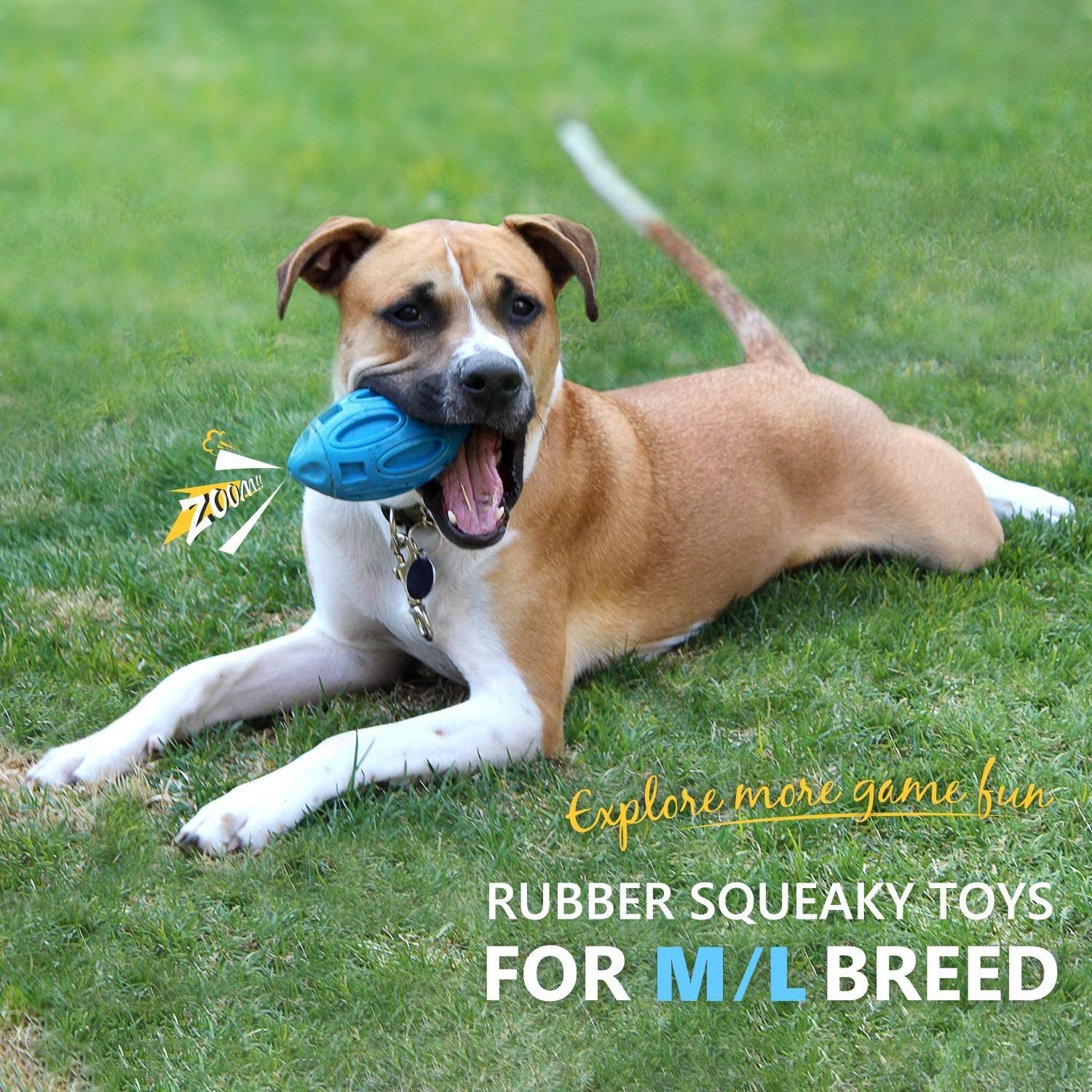 Rubber Sounding Dog Rugby Ball