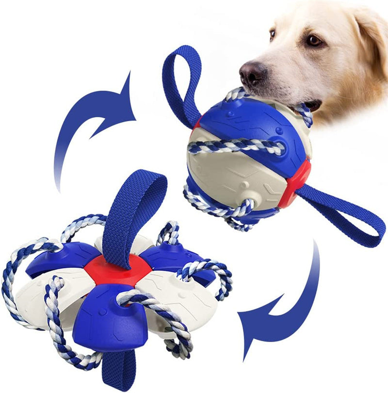 Interactive Dog Football Toy