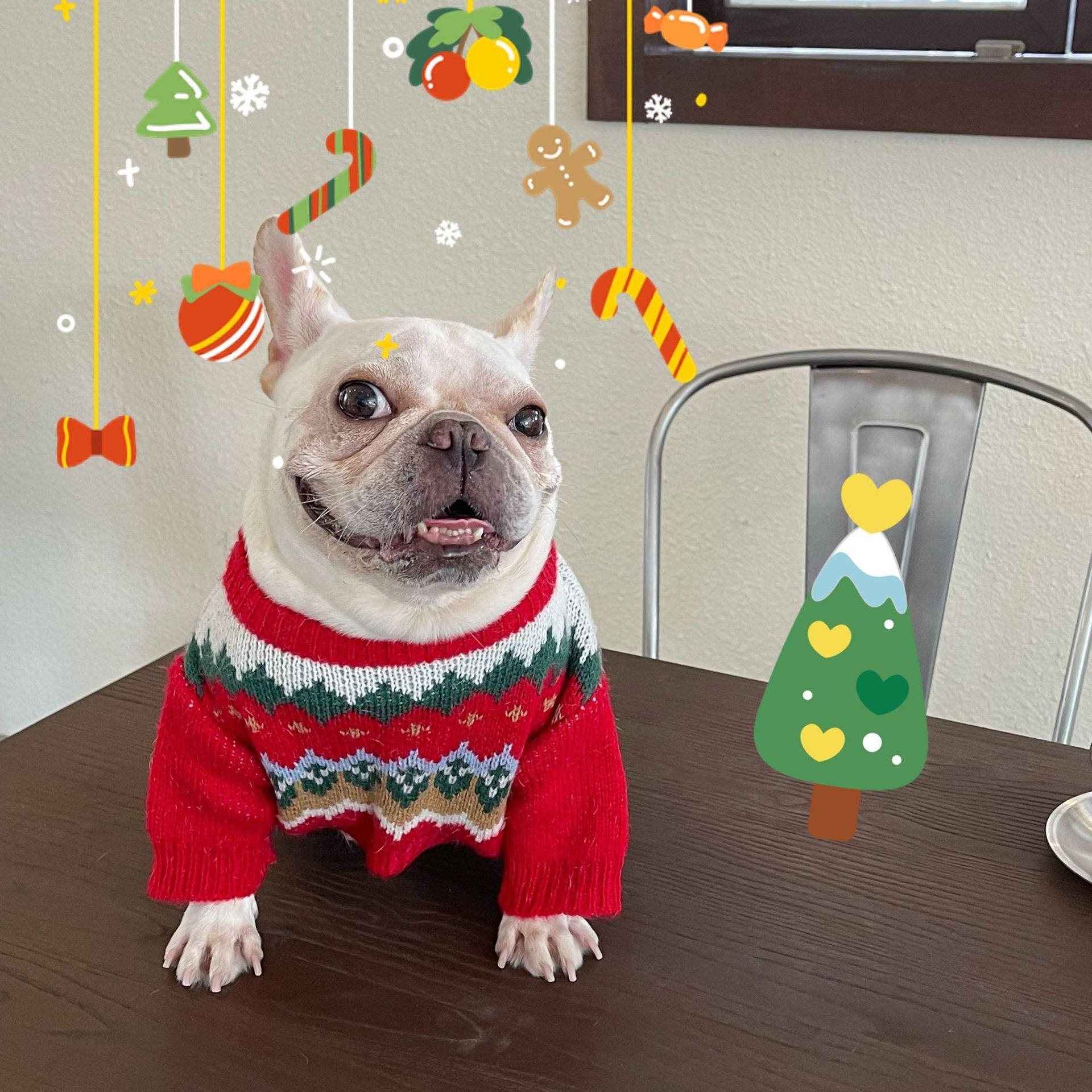 Christmas Dog Sweater