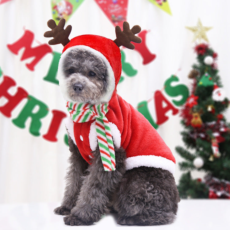 Dog Christmas Clothes