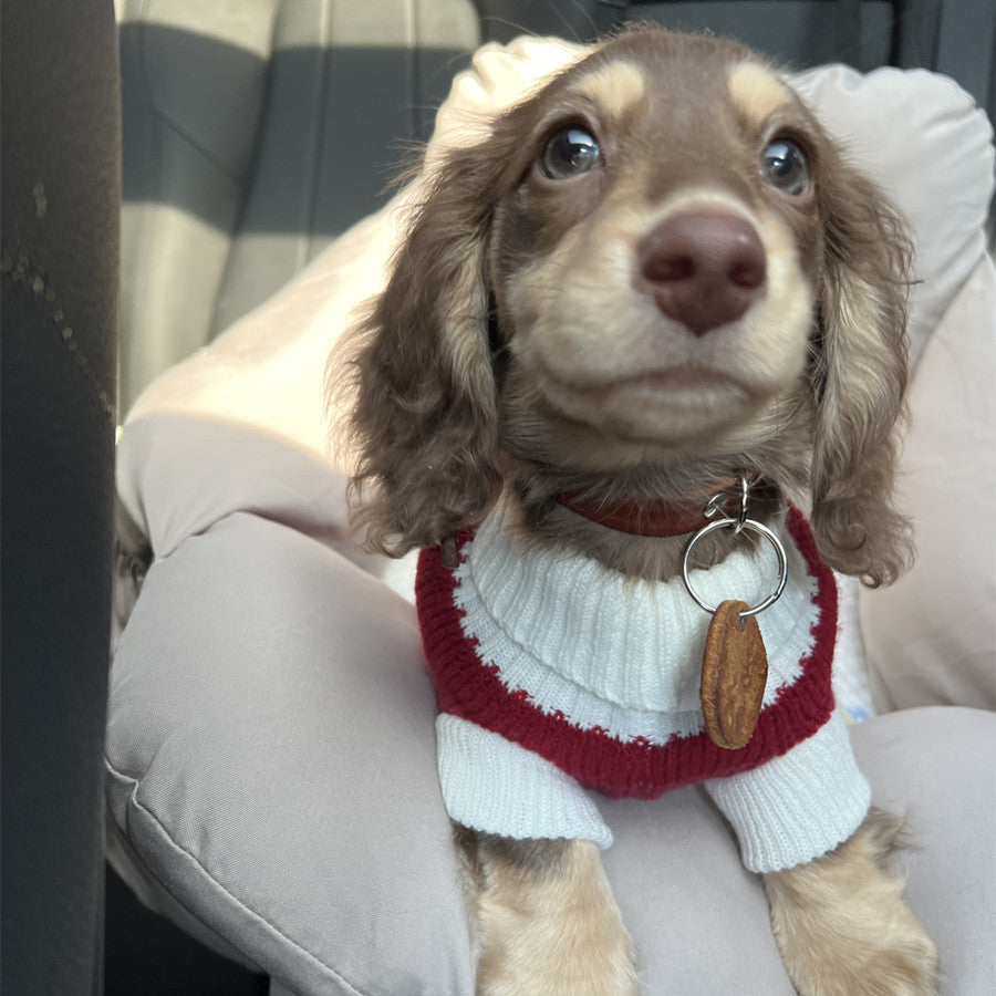 Sausage Dog Sweater