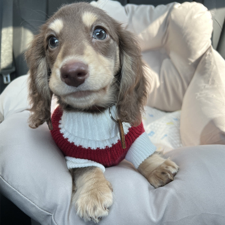 Sausage Dog Sweater