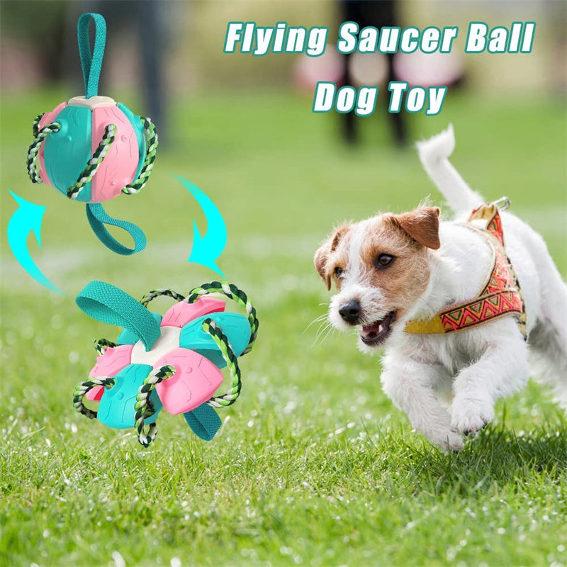 Interactive Dog Football Toy