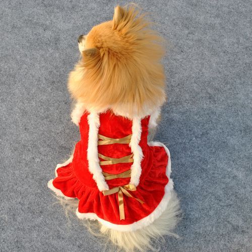 Classic Red Skirt for Pets