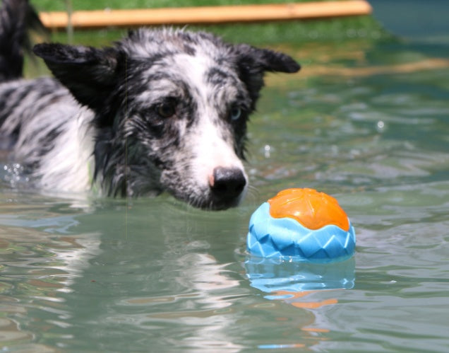 Audible Glow Floating Dog Toy Ball