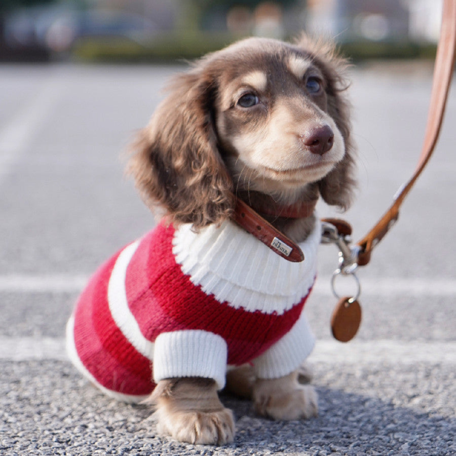 Sausage Dog Sweater