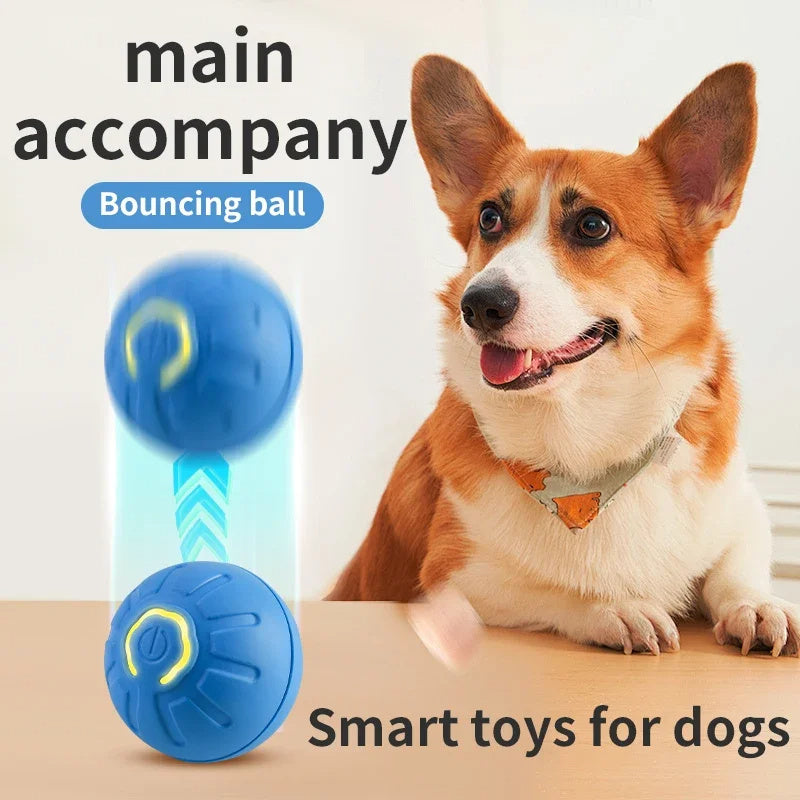 Smart Interactive Dog Toy Ball