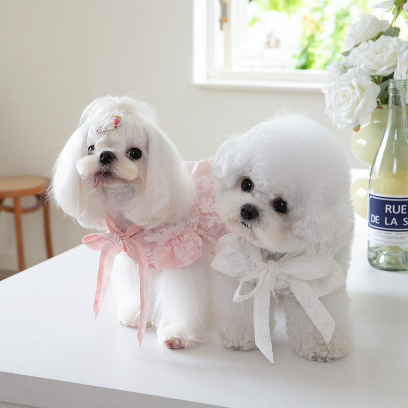 Tie Bow Collar Dress for Pets