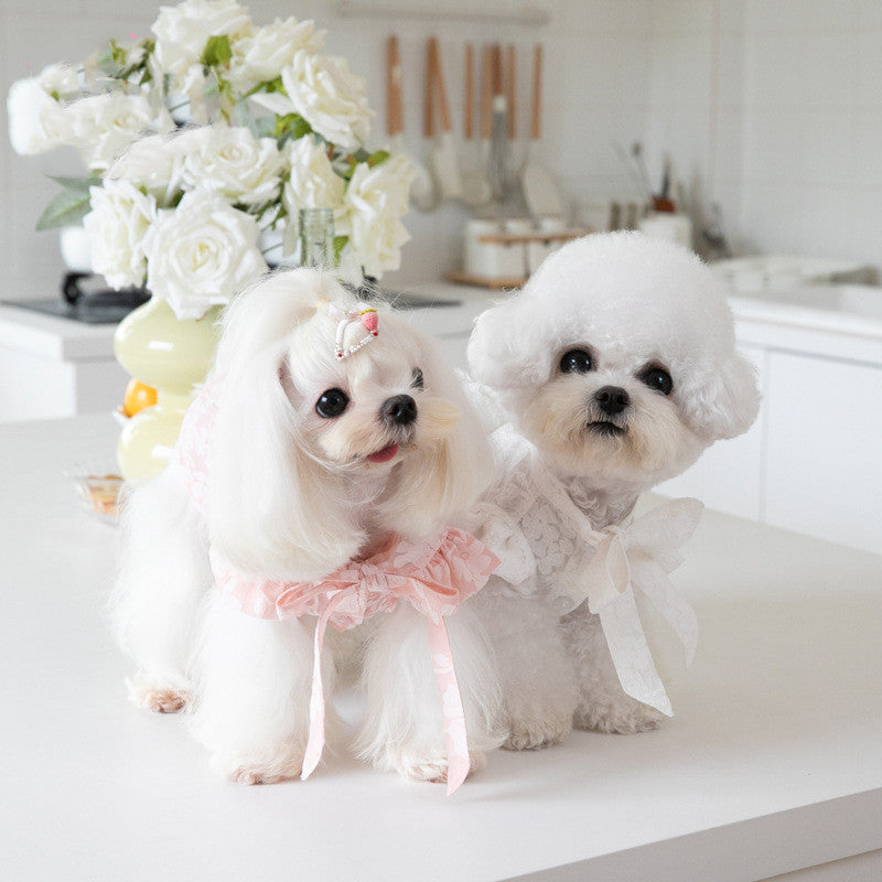 Tie Bow Collar Dress for Pets