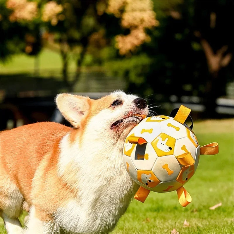 Interactive Dog Soccer Ball