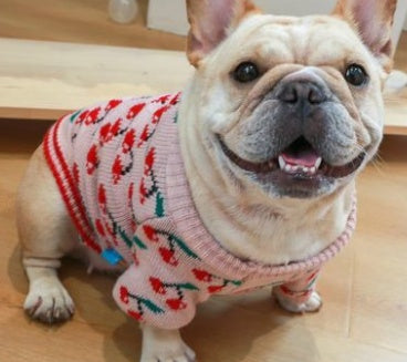 Christmas Dog Clothes