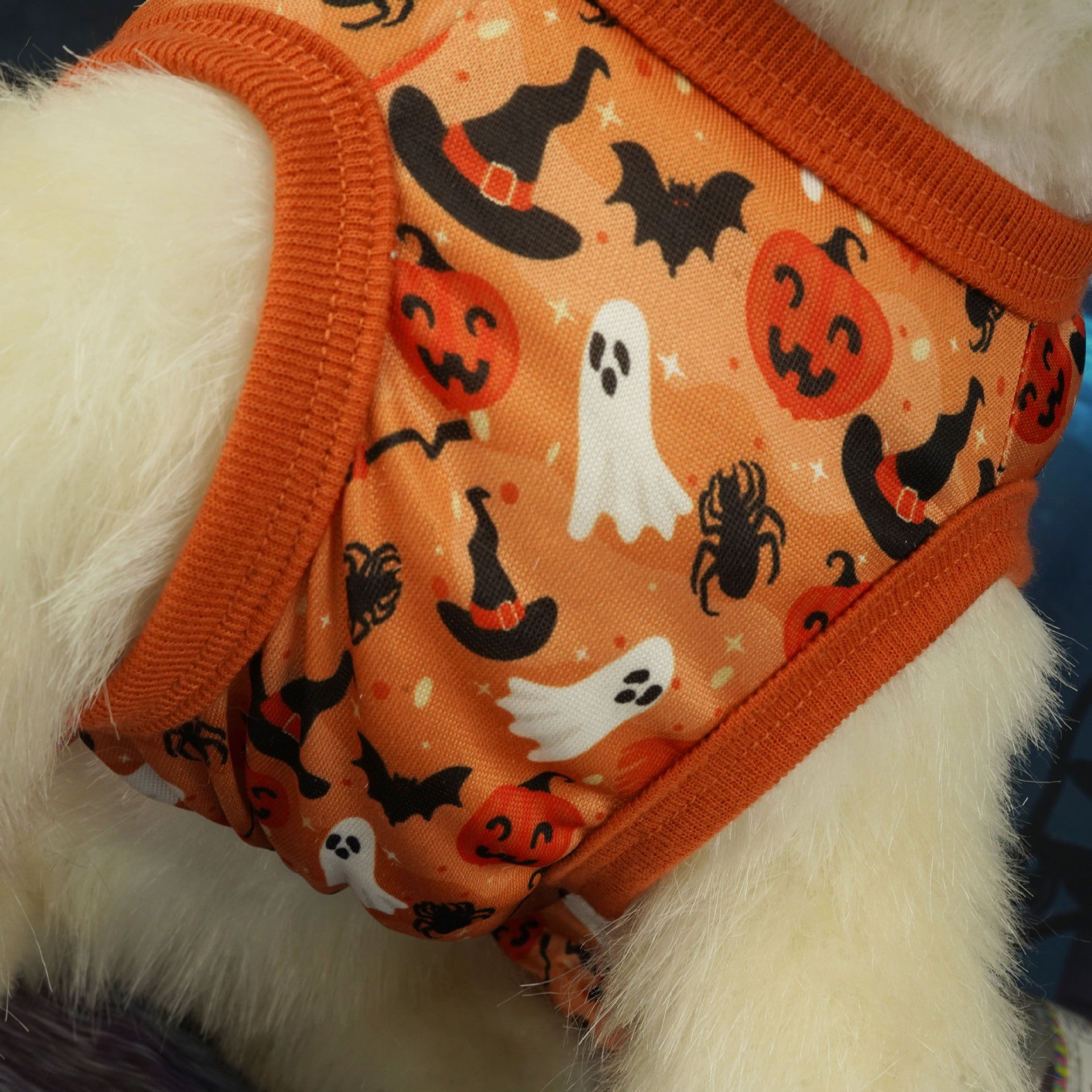 Halloween Pet Party Dress