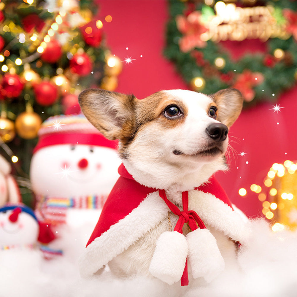 New Year Festive Cloak for Dogs