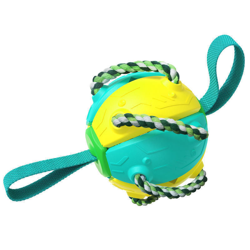 Interactive Dog Football Toy