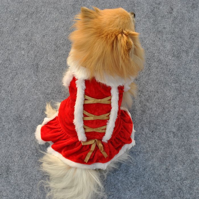 Classic Red Skirt for Pets