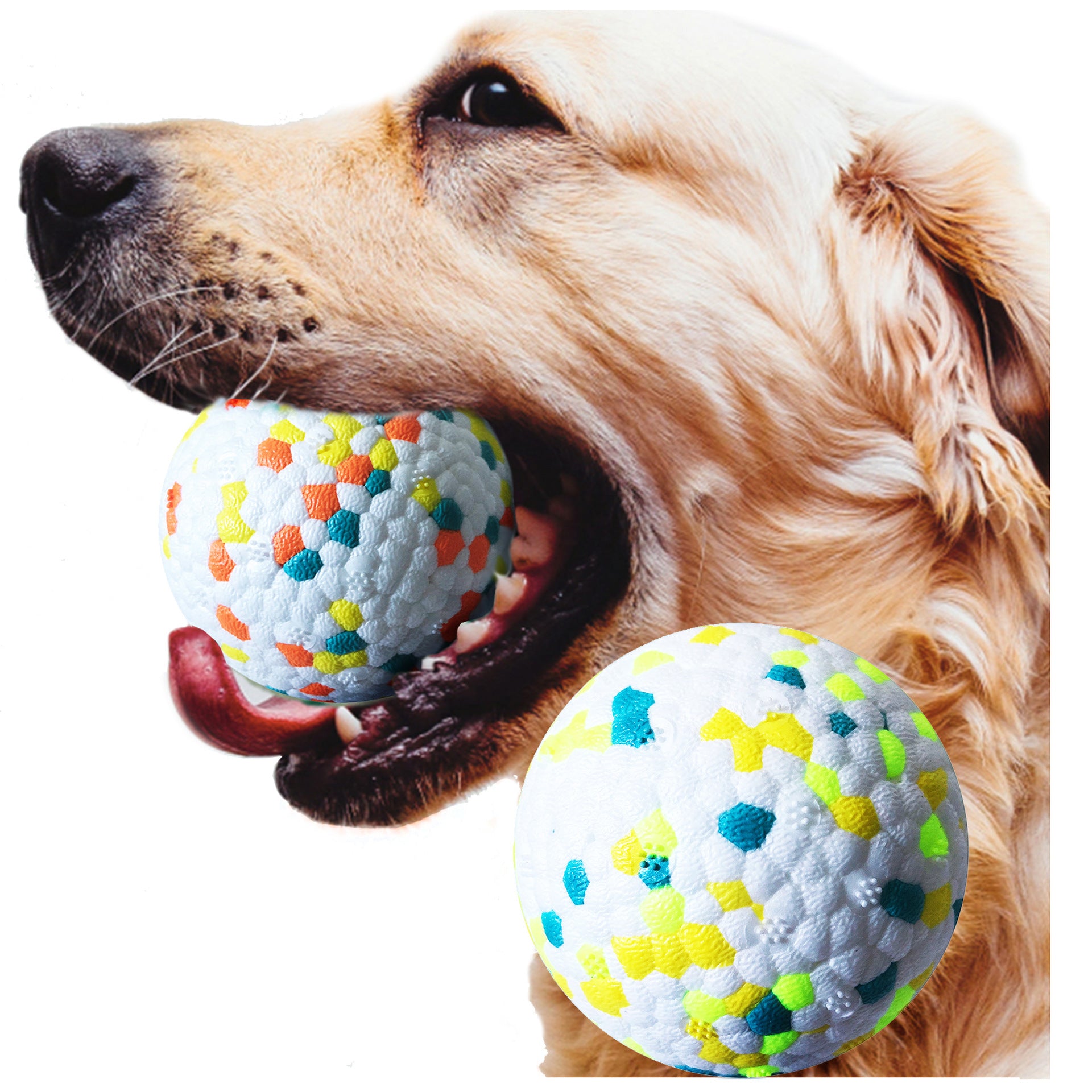 Interactive Dog Molar Ball