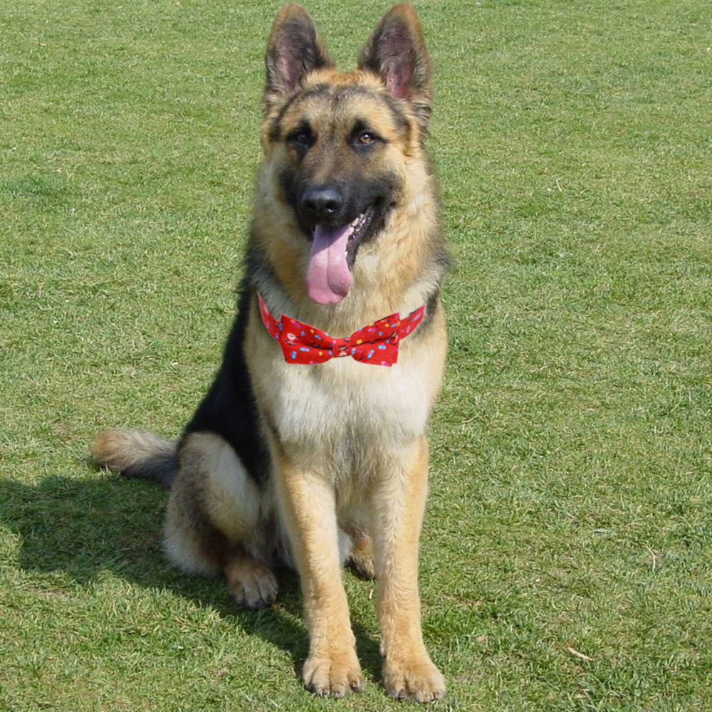 Christmas Dog Collar with Large Festive Bow