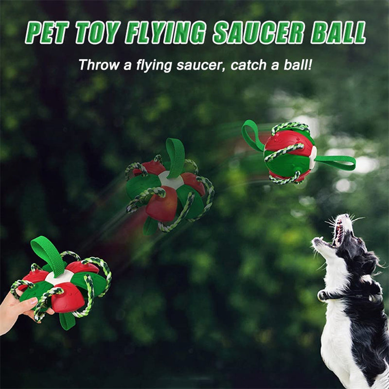 Interactive Dog Football Toy