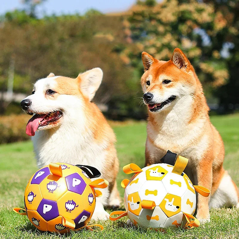 Interactive Dog Soccer Ball