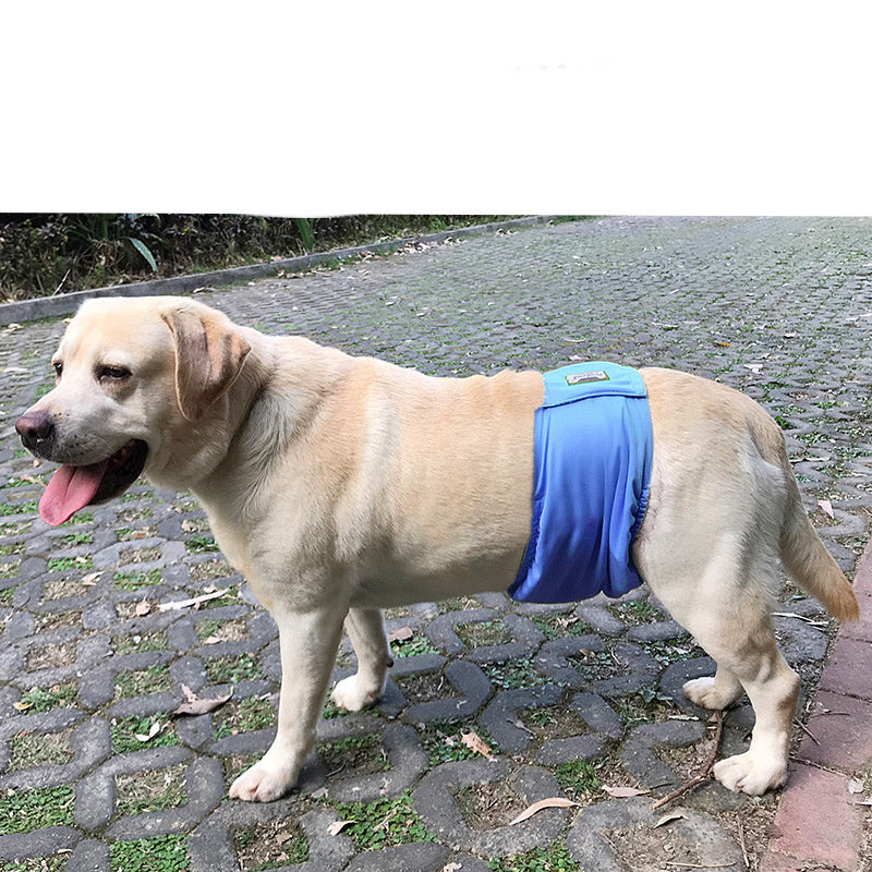 Male Dog Sanitary Restraint Belt Diaper