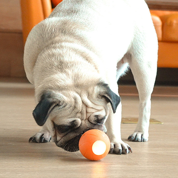 Smart Rolling Ball Teaser for Cats