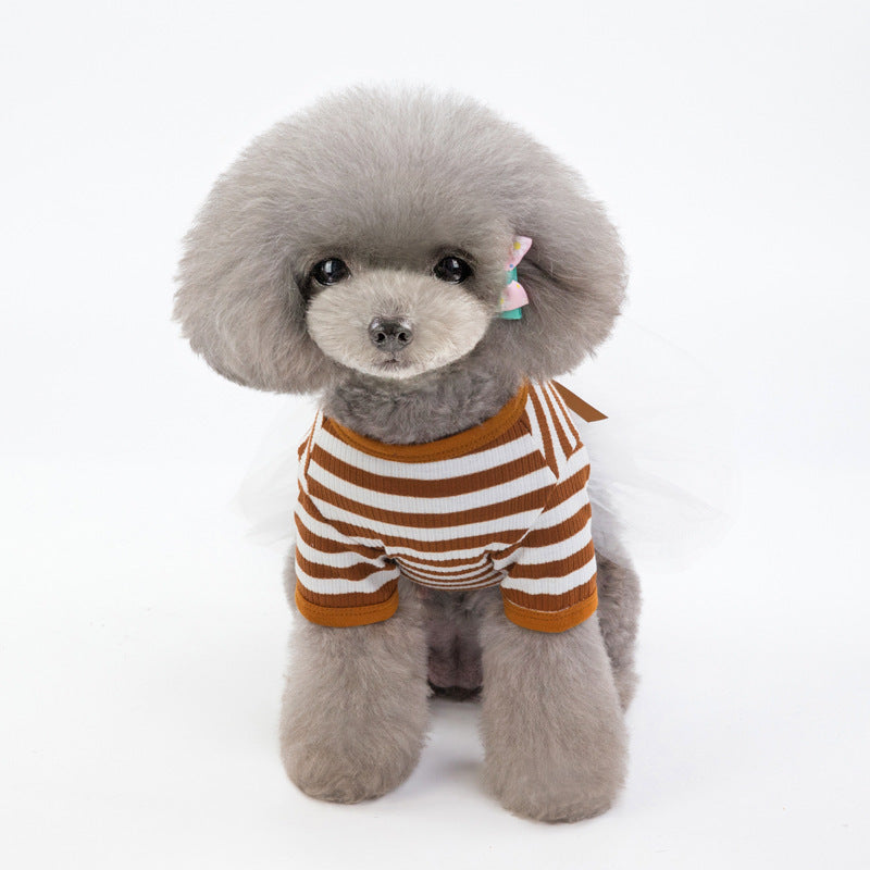 Teddy Bear Pet Clothes for Small Dogs