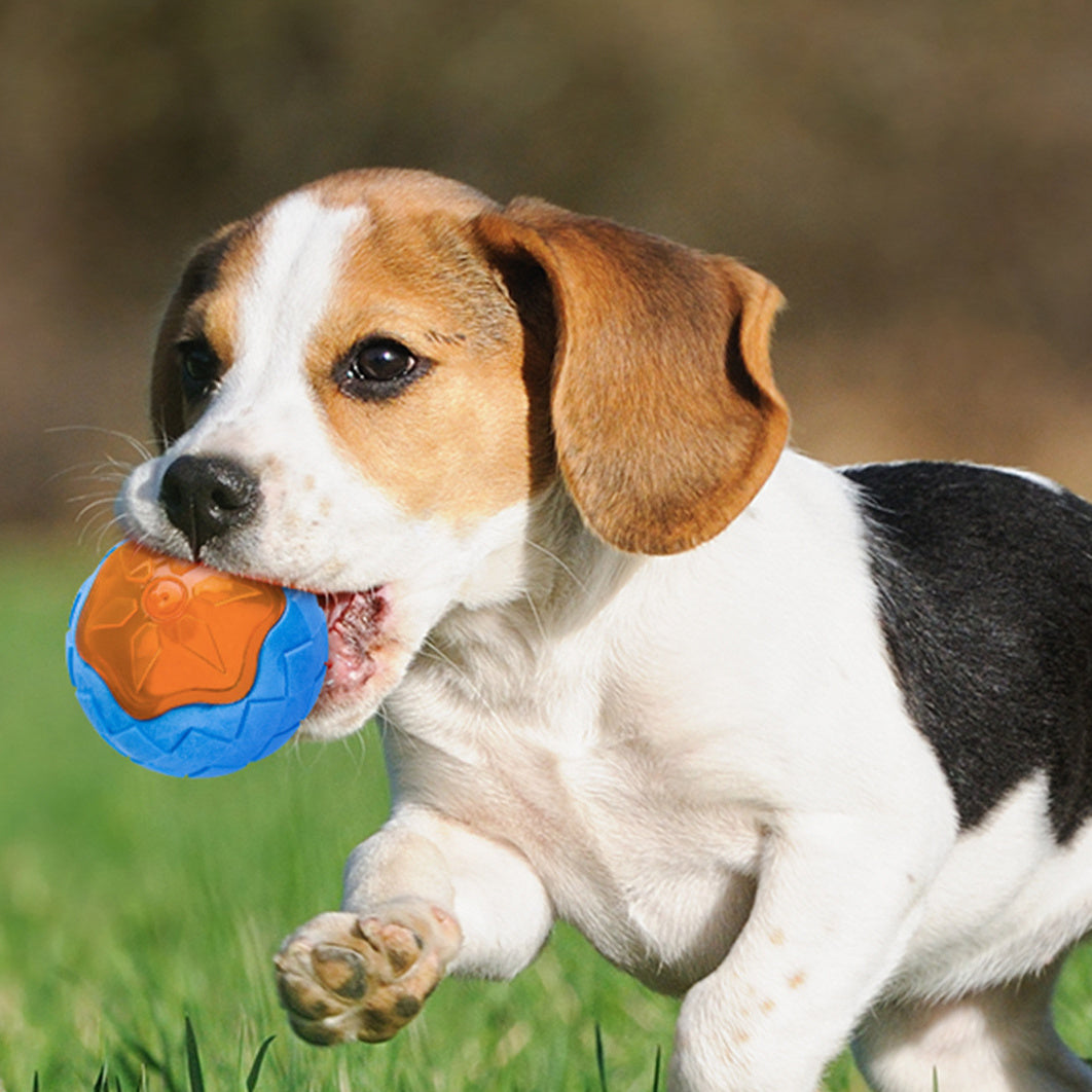 Audible Glow Floating Dog Toy Ball