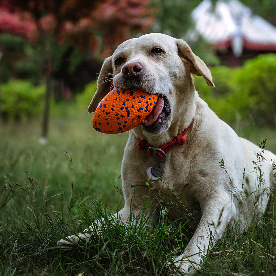 Teeth-Resistant Dog Chewing Football ToyTeeth-Resistant Dog Chewing Football Toy