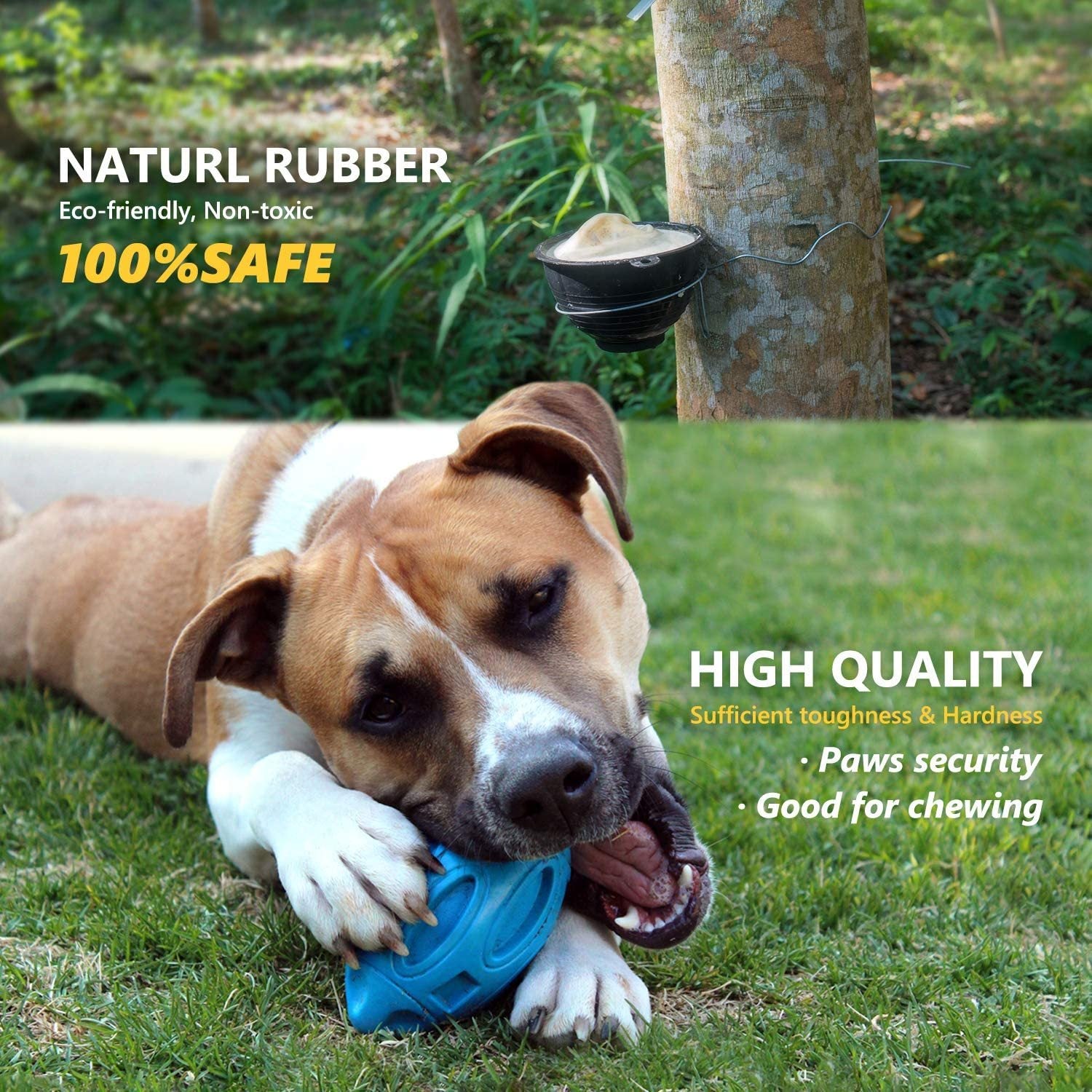 Rubber Sounding Dog Rugby Ball