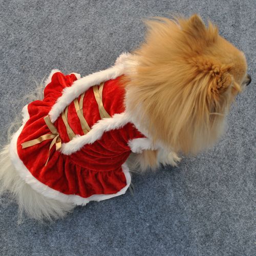 Classic Red Skirt for Pets