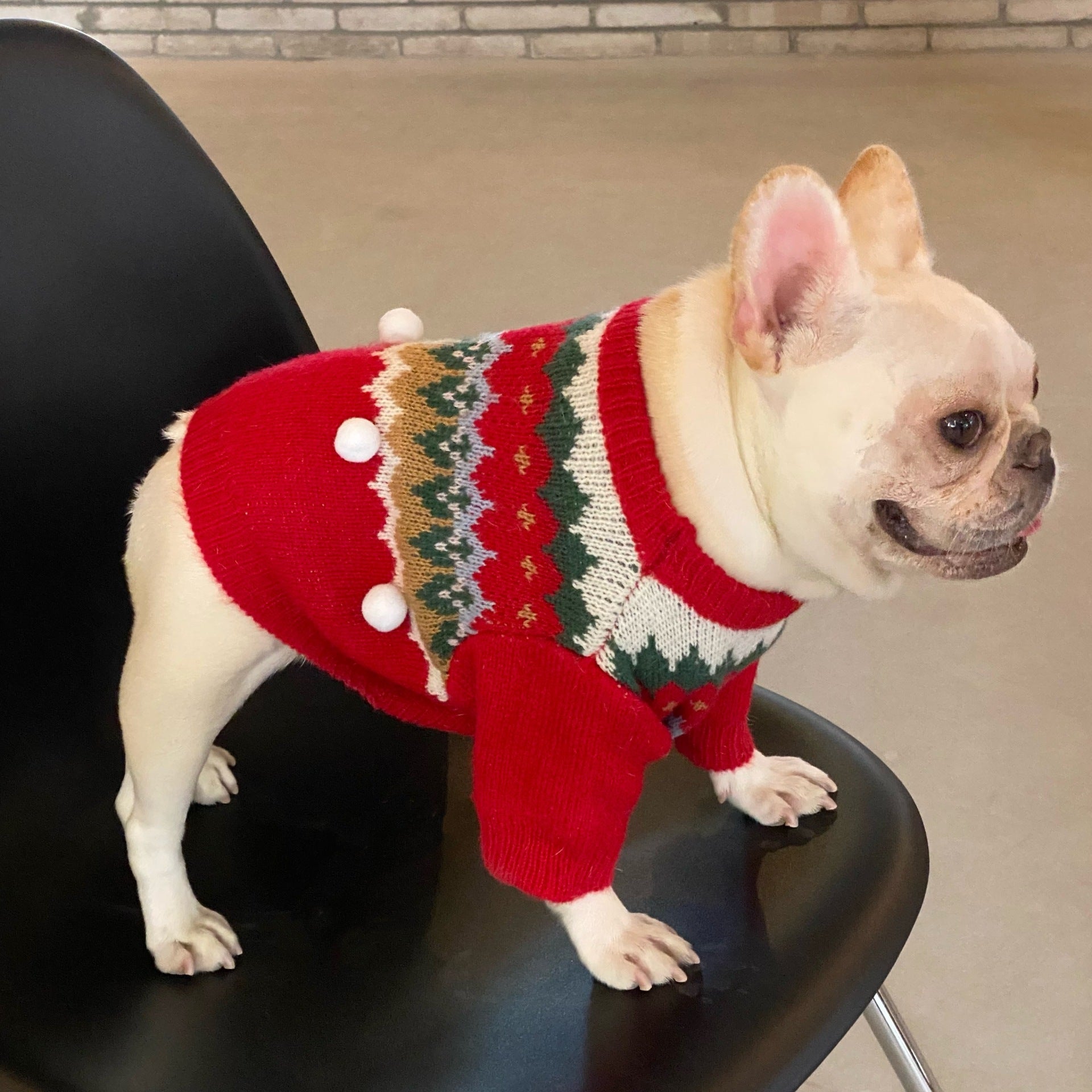 Christmas Dog Sweater