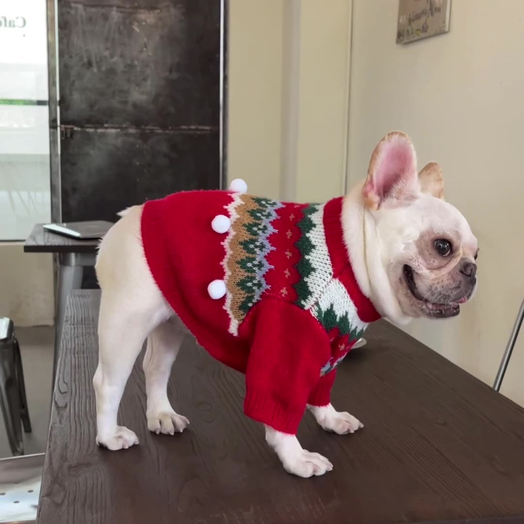 Christmas Dog Sweater