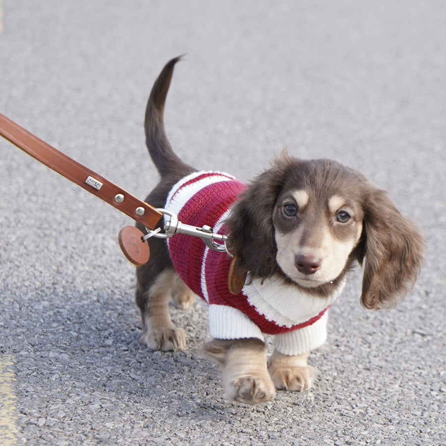 Sausage Dog Sweater