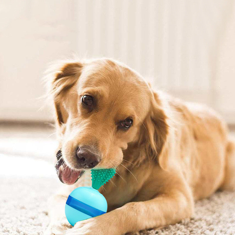 Non-Tip Food Leakage Ball Toy