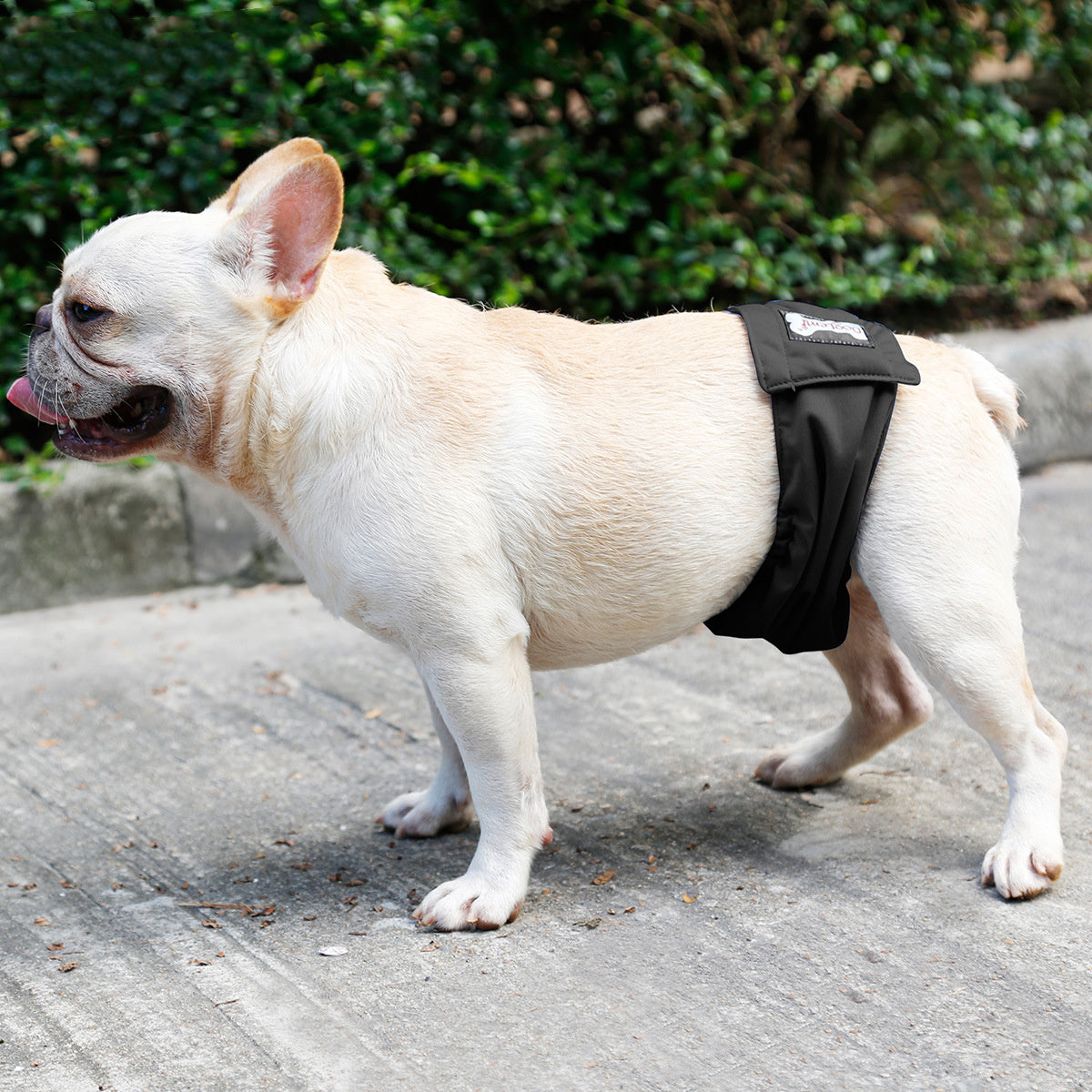 Male Dog Sanitary Restraint Belt Diaper