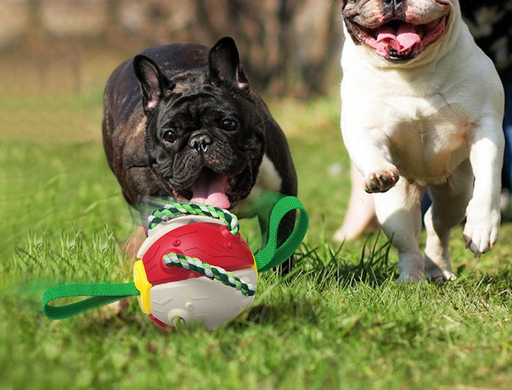 Interactive Dog Football Toy