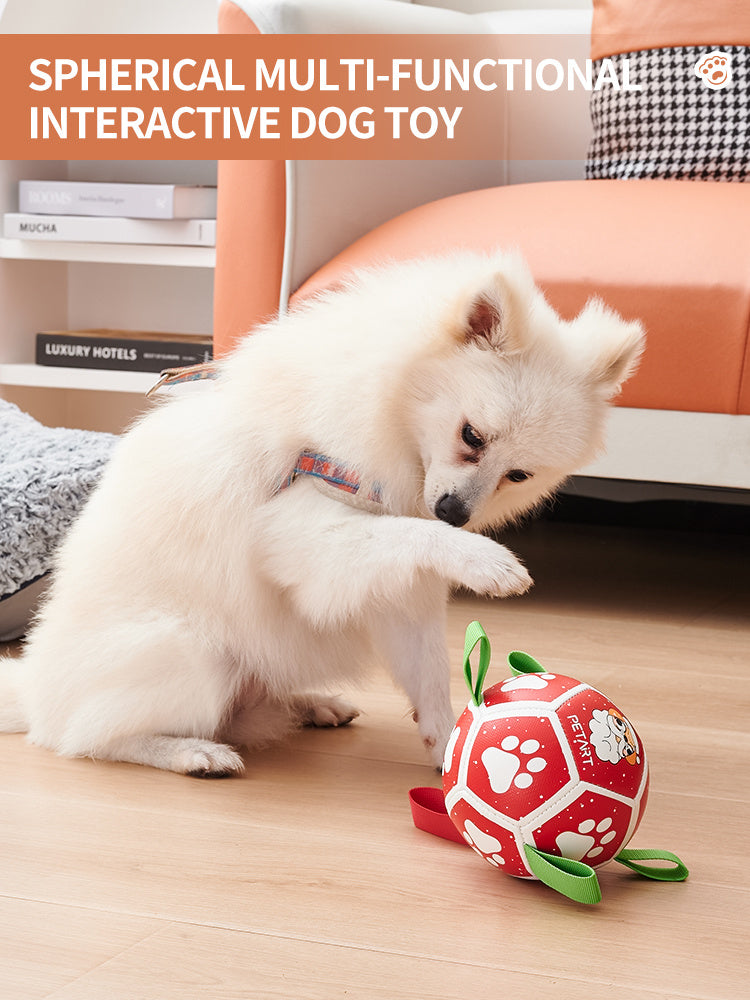 Interactive Dog Soccer Ball Toy