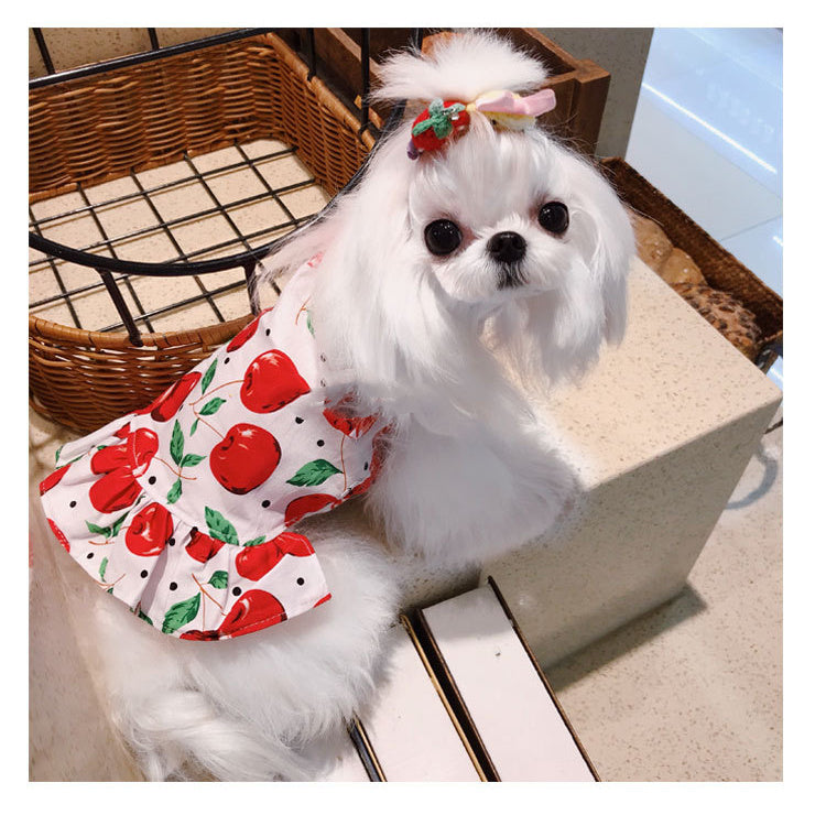 Summer Vest Dress for Pets