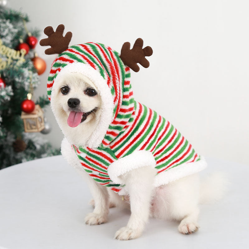 Dog Christmas Clothes