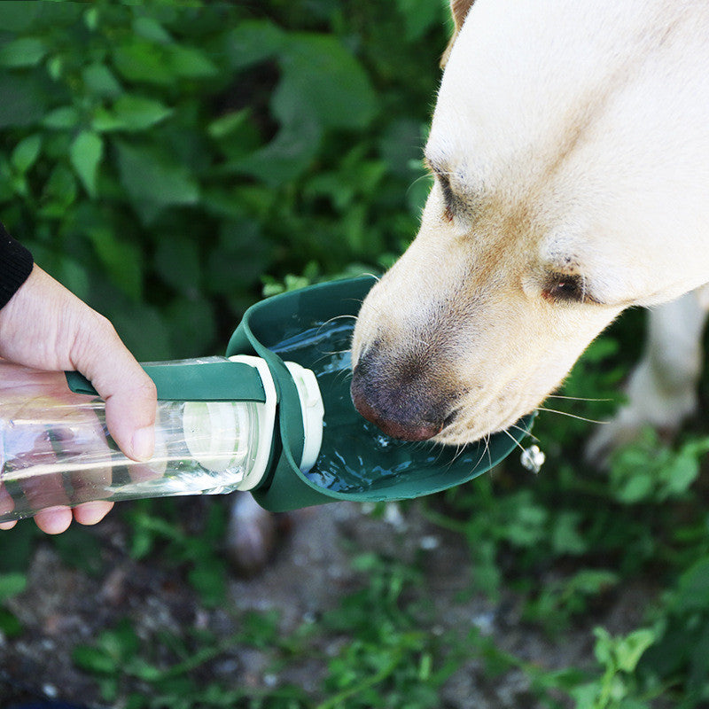 2-in-1 Foldable Dog Water Bottle